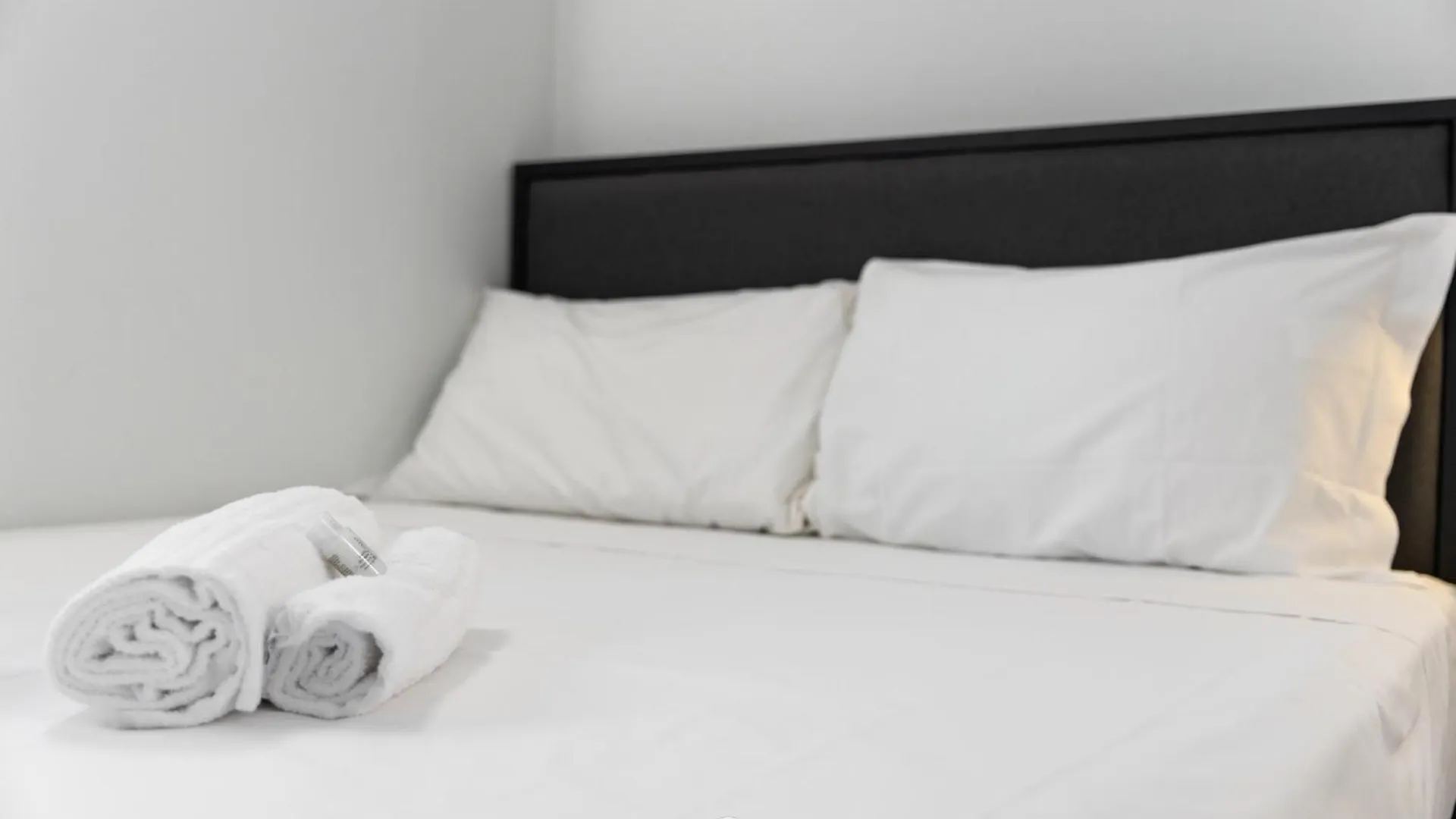 White Magnolia Apt Oristano Italy